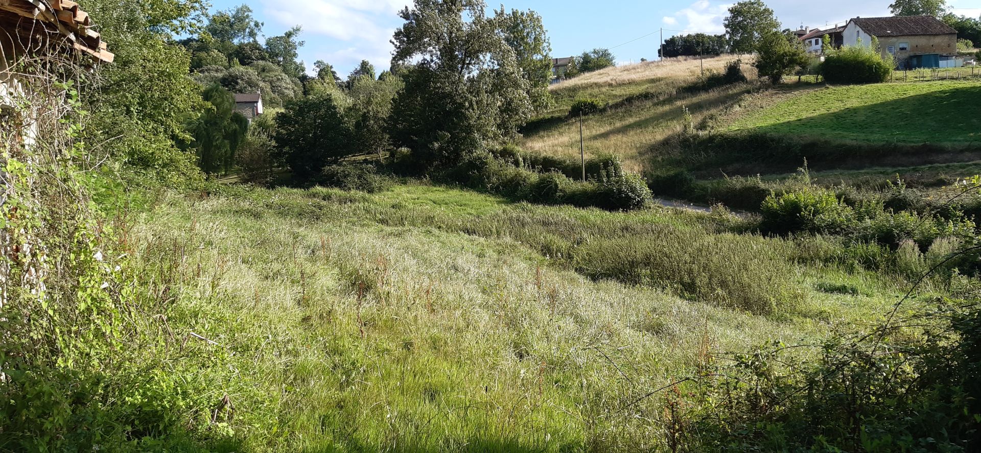 La Ricarda (Principáu d'Asturies). Juliol 2025