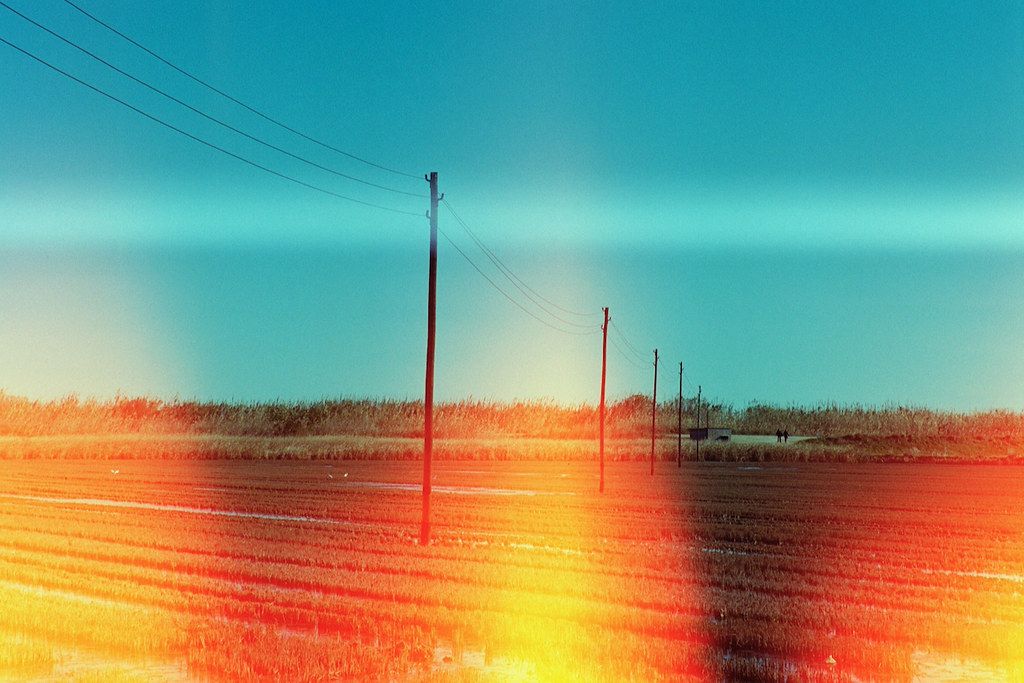 A landscape of fields and reeds in the background, telephone poles and two people in the distance. Orange patches caused by light leaking into the camera, cast across the landscape.